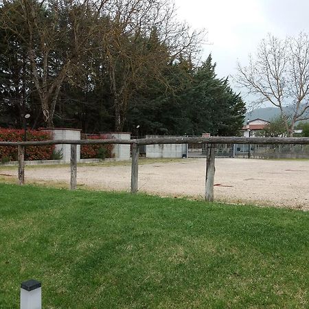 Il Boscaiolo Affittacamere Preturo Exteriör bild